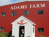 Field Trip: Adams Farm